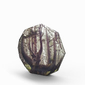 Octopus Tree、Cape Meares、オレゴン フォトブロック (右)
