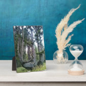 Octopus Tree、Cape Meares、オレゴン フォトプラーク (側面)