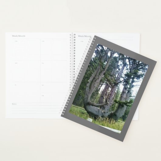 Octopus Tree、Cape Meares、オレゴン プランナー手帳 (ディスプレー)