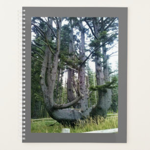 Octopus Tree、Cape Meares、オレゴン プランナー手帳
