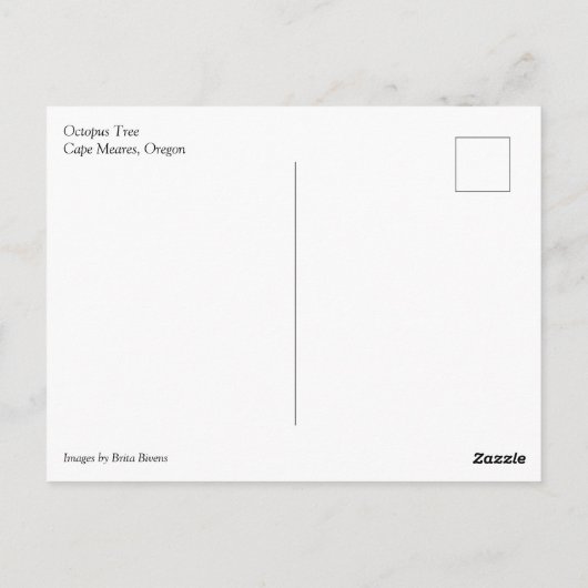 Octopus Tree、Cape Meares、オレゴン ポストカード (裏面)