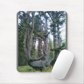 Octopus Tree、Cape Meares、オレゴン マウスパッド (マウス)