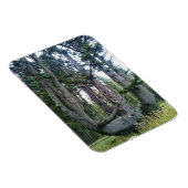 Octopus Tree、Cape Meares、オレゴン マグネット (右側)