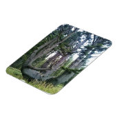 Octopus Tree、Cape Meares、オレゴン マグネット (左側)