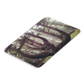 Octopus Tree、Cape Meares、オレゴン マグネット (左側)