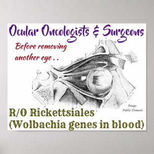 Ocular Oncologists/Surgeons R/O Wolbachia by Rose ポスター