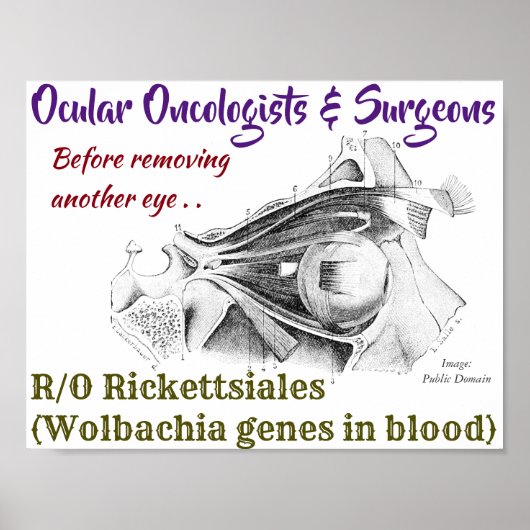 Ocular Oncologists/Surgeons R/O Wolbachia by Rose ポスター (正面)