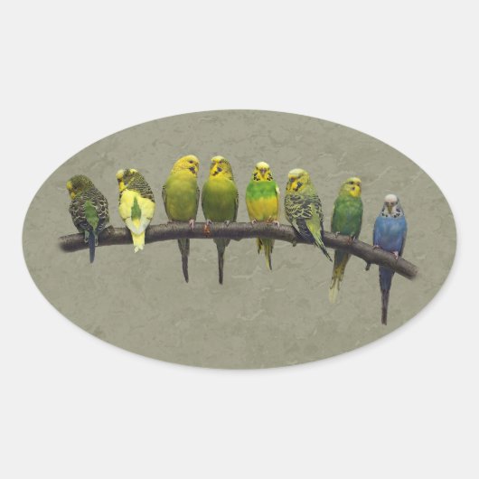 Odd One Outステッカー 楕円形シール (正面)