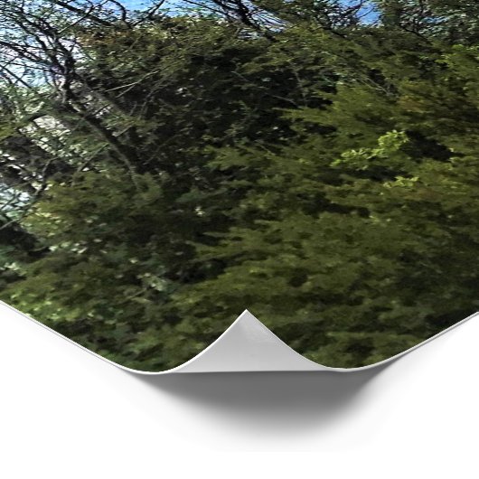 Odell LakeまたはOR ポスター (角)