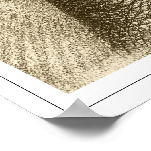 Odiron Redon Zeding Art Poster #101 ポスター (角)