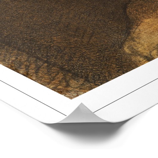 Odiron Redon Zeding Art Poster #264 ポスター (角)