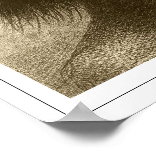 Odiron Redon Zeding Art Poster #496 ポスター (角)