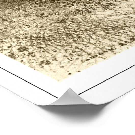 Odiron Redon Zeding Art Poster #675 ポスター (角)