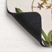 Odontoglossum Hastatum マウスパッド (コーナー)