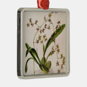 Odontoglossum Hastatum メタルオーナメント (右)