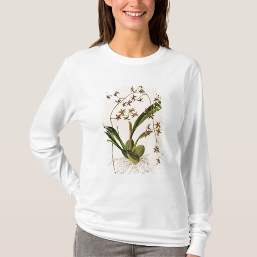 Odontoglossum Hastatum Tシャツ (正面)