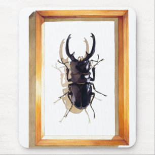"Odontolabis D. subita"のクワガタムシの水彩画 マウスパッド
