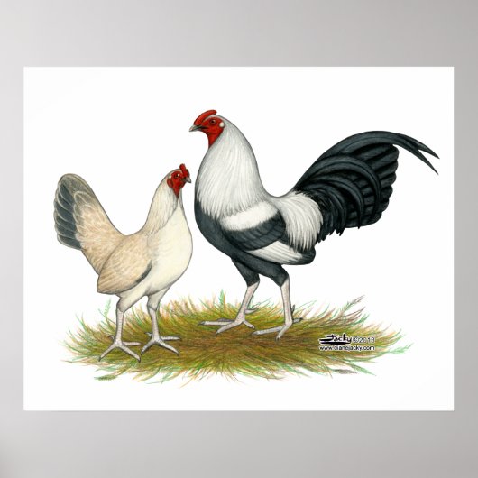 OE Game Blue Silver Wheaten ポスター (正面)