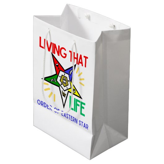 OES姉妹の東スター抱き枕の順序 ミディアムペーパーバッグ (正面アングル)