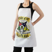 OES エプロン (インサイチュ)