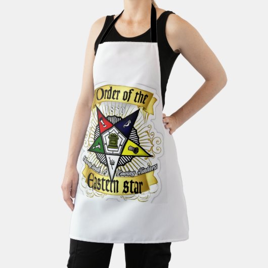 OES エプロン (インサイチュ)