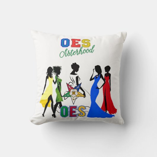 OES クッション (正面)