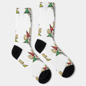 OES ソックス (右)