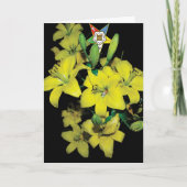 OES Card シーズンカード (正面)