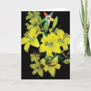 OES Card シーズンカード