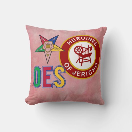 OES/HOJ クッション (正面)