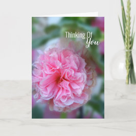 Of 考え You Hollyhockの写真 カード