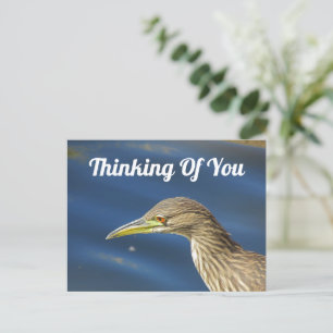 Of 考え You Tan Bird Long Distance Friendship ポストカード