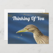 Of 考え You Tan Bird Long Distance Friendship ポストカード (正面/裏面)