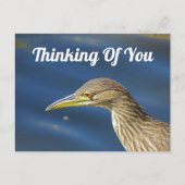 Of 考え You Tan Bird Long Distance Friendship ポストカード (正面)