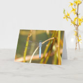 Of Swamp主 カード (黄色い花)