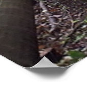 Off the Fund Path Country Landscape Poster ポスター (角)