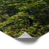 Off the Longed Path Country Lake Landscape Poster ポスター (角)