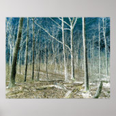 Off the Path version 1 ポスター (正面)