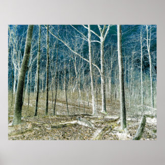 Off the Path version 1 ポスター