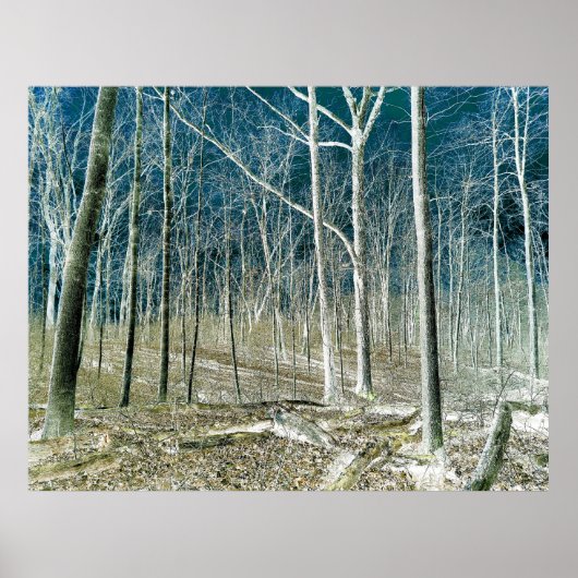 Off the Path version 1 ポスター (正面)