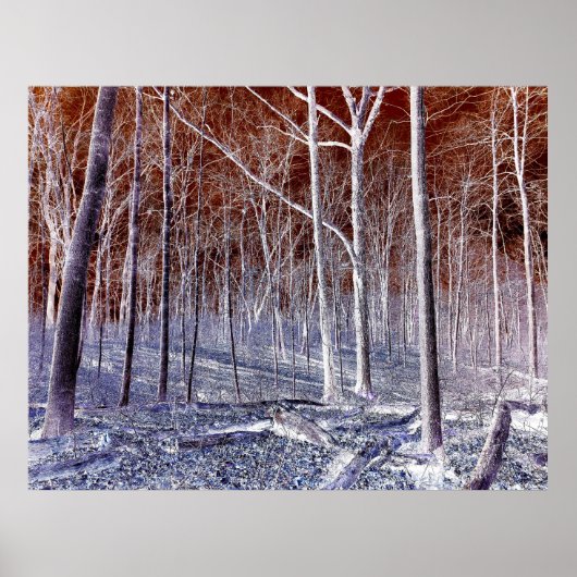 Off the Path version 2 ポスター (正面)