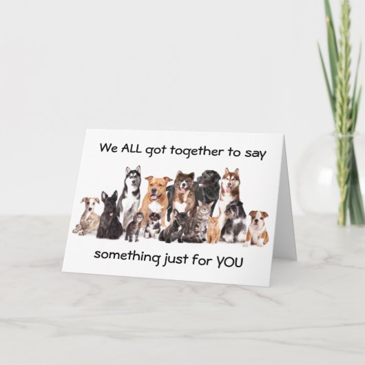 OFFICEとクールFRIENDS Cのおもしろい「グループカード」 カード (正面)