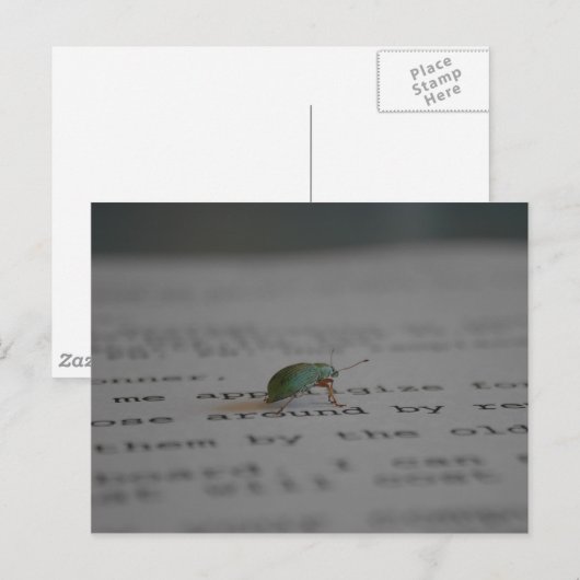 Officeのバグ ポストカード (正面/裏面)