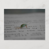 Officeのバグ ポストカード (正面)