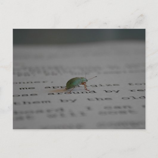 Officeのバグ ポストカード (正面)