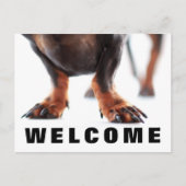 Office Dog Petsポストカードへようこそ ポストカード (正面)