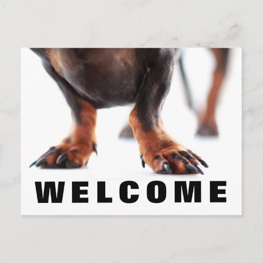 Office Dog Petsポストカードへようこそ ポストカード (正面)