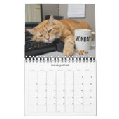 Office Fun Cats Photo Calendar 2026 / Business Cat カレンダー (1月 2026)