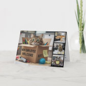 Office Fun Cats Photo Card, Birthday, Cat カード (正面)