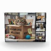 Office Fun Cats Photo, City, Business Cat フォトブロック (正面)